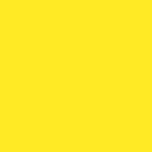 EasyPSV Starling Matte Canary Yellow 12" x 3 Yard[108"]