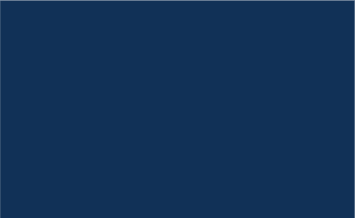 Easy PSV Twilight Navy 12" x 24"