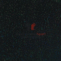EasyWeed Holographic  _Black 12"X20"
