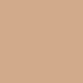 EasyWeed HTV Cashew 12'' x 15''