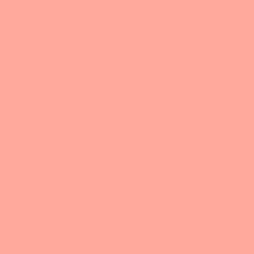 EasyWeed HTV Melon 12'' x 15''