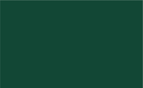 Easy PSV Turtle Green 12'' x 24''