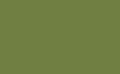 Easy PSV Alligator Green 12'' x 24''