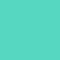 EasyWeed HTV Retro Mint 12'' x 15''