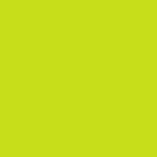 EasyWeed HTV Lime 12'' x 15''