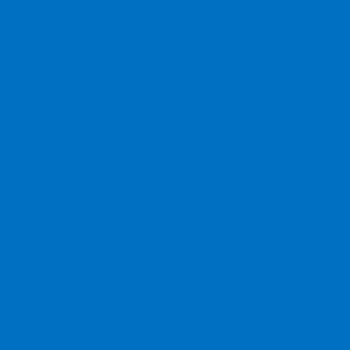 EasyWeed HTV Sky Blue 12'' x 15''