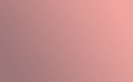 Easy PSV Rose Gold 12'' x 24''
