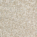 EasyWeed Glitter Champagne 12'' x 20''