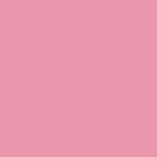 EasyPSV Starling Matte Flamingo 12" x 1 Yard[36"]