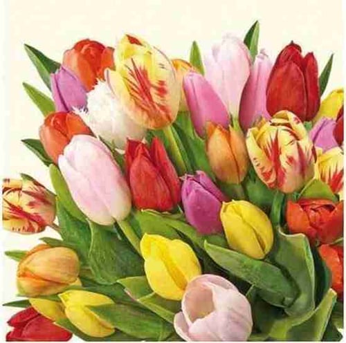 Napkin 33 Colourful Tulips FSC Mix 20 PC
