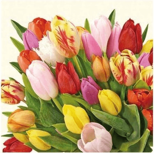 Napkin 33 Colourful Tulips FSC Mix 20 PC
