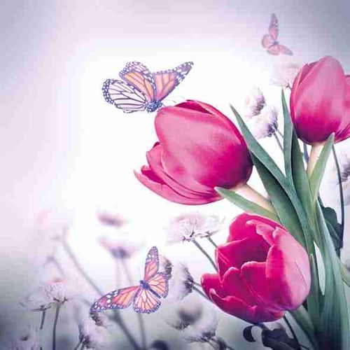 Napkin 33 Butterfly ft Tulips FSC Mix 20 PC