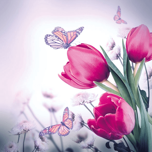 Napkin 33 Butterfly ft Tulips FSC Mix 20 PC