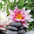 Napkin 33 Water Lily FSC Mix 20 PC