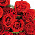 Napkin 33 Red Roses FSC Mix 20 PC