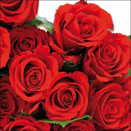Napkin 33 Red Roses FSC Mix 20 PC