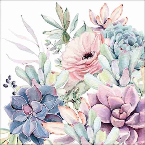 Napkin 33 Succulent Love FSC Mix 20 PC