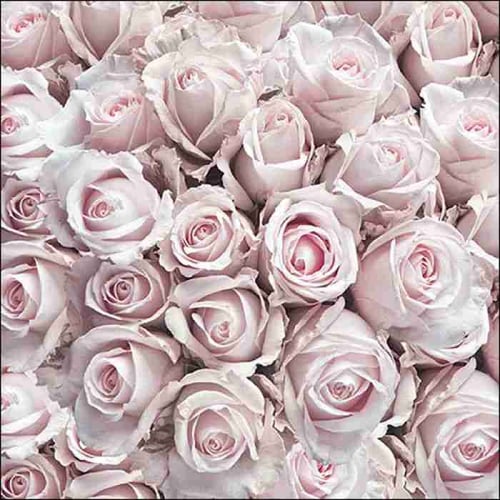 Napkin 33 Pastel Roses FSC Mix 20 PC