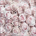 Napkin 33 Pastel Roses FSC Mix 20 PC