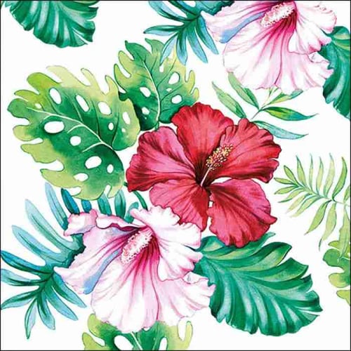 Napkin 33 HibiSC\.15 Aoral White FSC Mix 20 PC