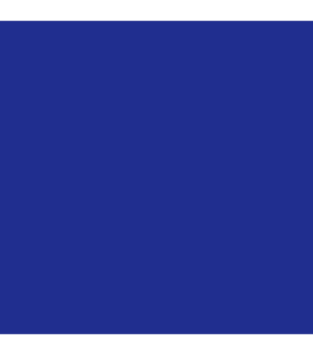 22" X 28" Dark Blue Poster Board