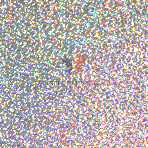 EasyWeed Holographic Silver 12'' x 20''