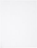 WHITE     -PLASTIC CANVAS