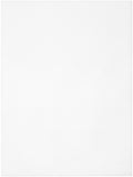 WHITE     -PLASTIC CANVAS