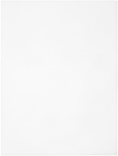 WHITE     -PLASTIC CANVAS