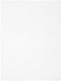 CousinDIY Perforated Plastic Canvas 14 Count 8.5"X11" 2/Pkg-White