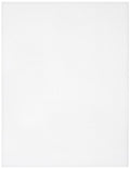 CousinDIY Plastic Canvas 10 Count 10.5"X13.5"-Clear