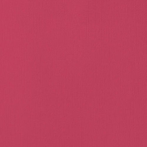 AMERICAN CRAFTS TEXTURED CARDSTOCK 12"X12" LADYBUG
