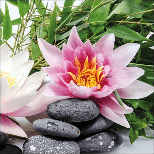 Napkin 33 Water Lily FSC Mix 20 PC