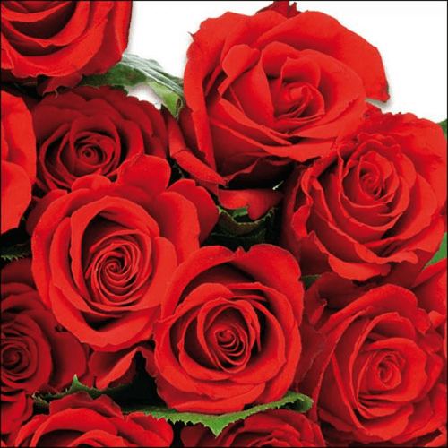 Napkin 33 Red Roses FSC Mix 20 PC