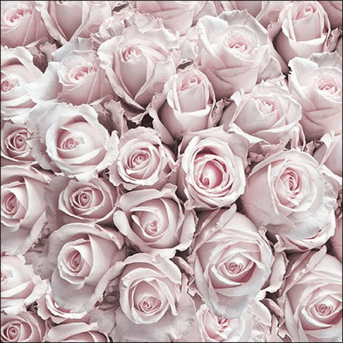 Napkin 33 Pastel Roses FSC Mix 20 PC