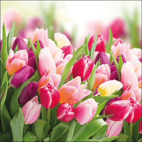 Napkin 33 Glorious Tulips FSC Mix 20 PC