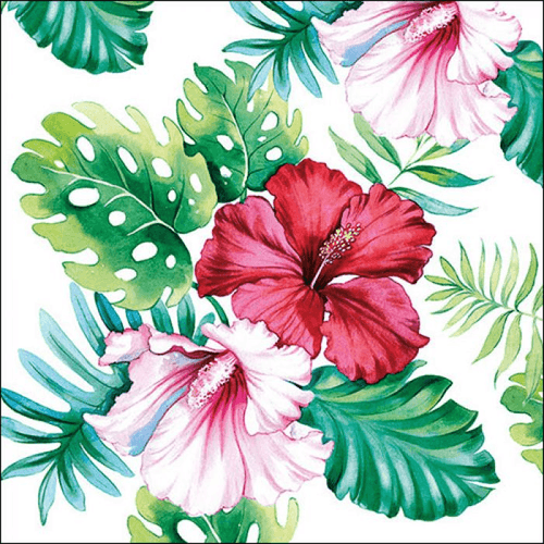 Napkin 33 HibiSC\.15 Aoral White FSC Mix 20 PC