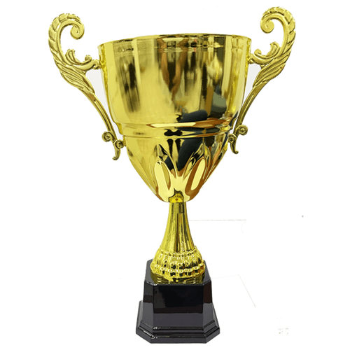 AFTH 8" Gold Metal Cup Bowl with Handle