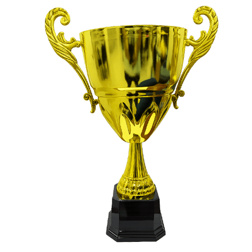 Premier Cup Trophy, Meduim