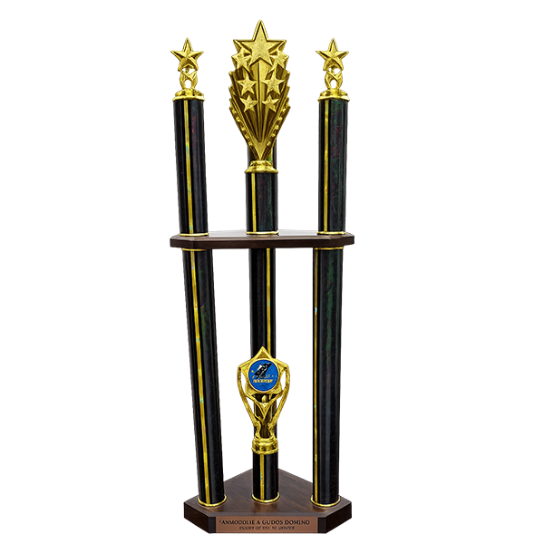 1st Place 3 Colomn Trophy