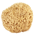 NATURAL SPONGES LARGE WOOL 2 PC