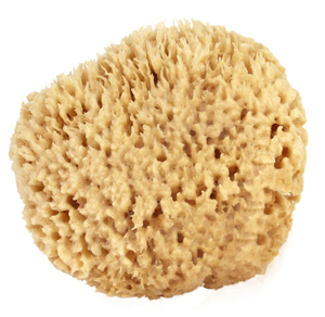 NATURAL SPONGES LARGE WOOL 2 PC