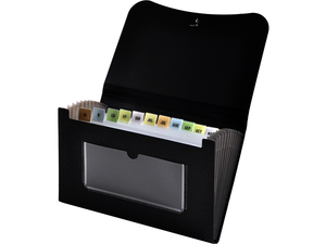 13-POCKET SMALL EXPANDING FILE, 5-3/4" X 8-1/2", BLACK