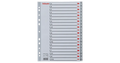 Sort index page KSA-Z PP, letter size, A-Z