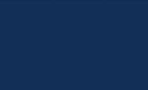Easy PSV Twilight Navy 12" x 1 Yard[36"]