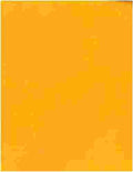 American Crafts Textured Cardstock 12"x12" Melon