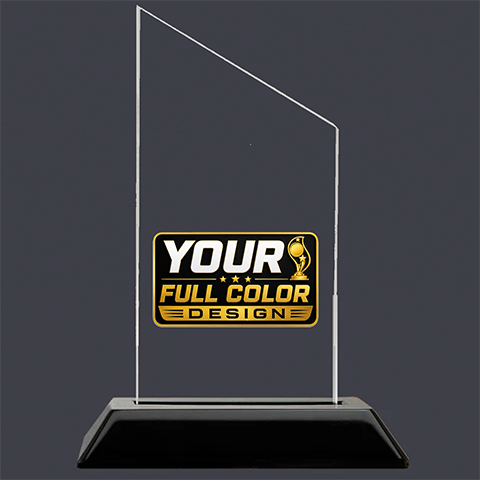 Copy of Custom Acrylic Award, A