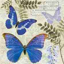Napkin 33 Blue Norpho FSC Mix 20 PC