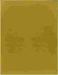 specialty paper - ac - 8.5 x 11 - matte - gold