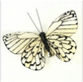 Touch of Nature 2.75" Black/White Feather Butterfly, 1pc on clip